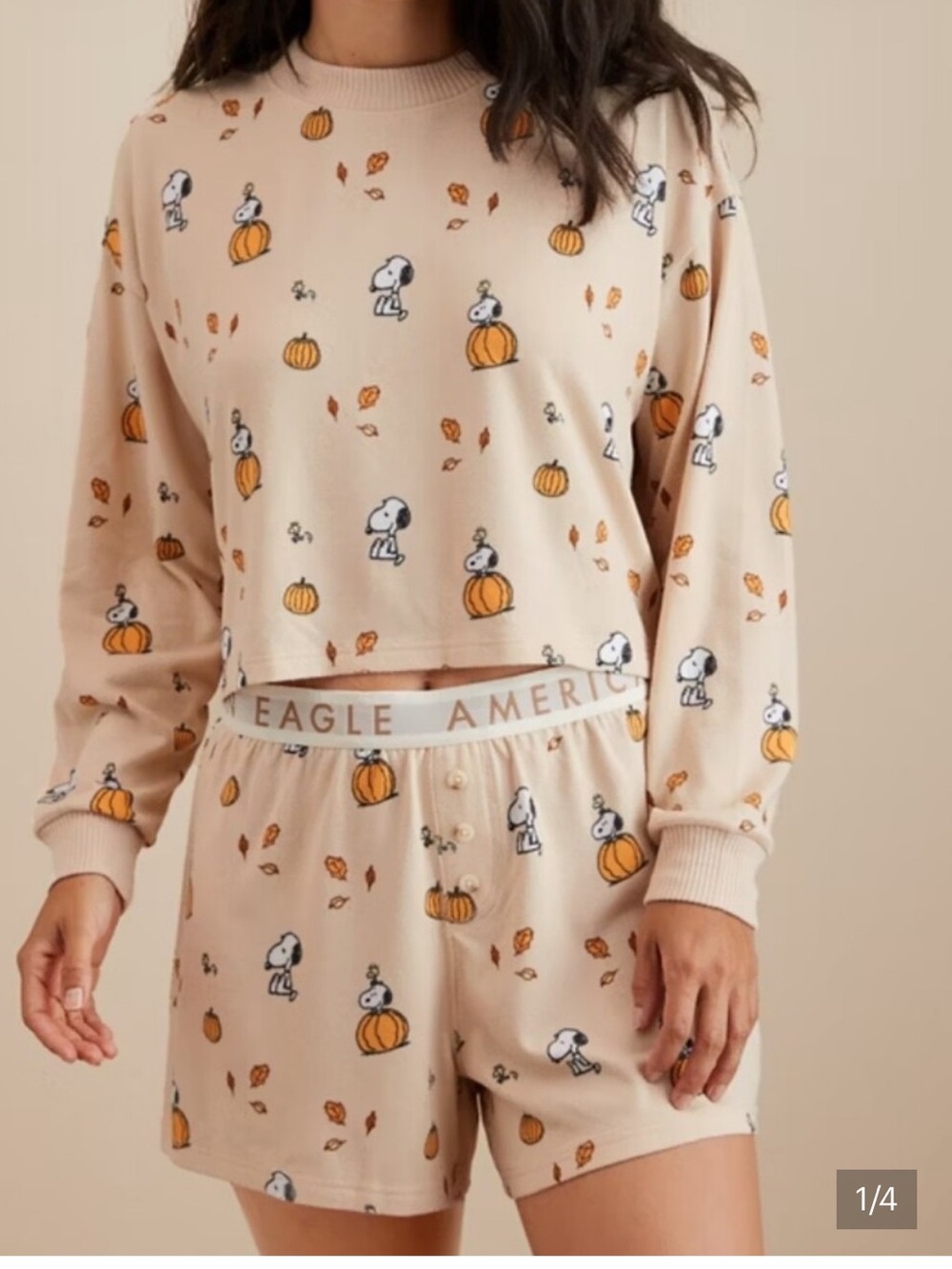 American Eagle Fall Snoopy Pajamas Set